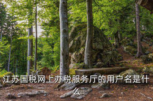 江蘇國(guó)稅用戶名密碼是什么意思，江蘇國(guó)稅網(wǎng)上辦稅服務(wù)廳的用戶名是什么