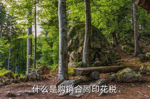 什么是購(gòu)銷(xiāo)合同印花稅