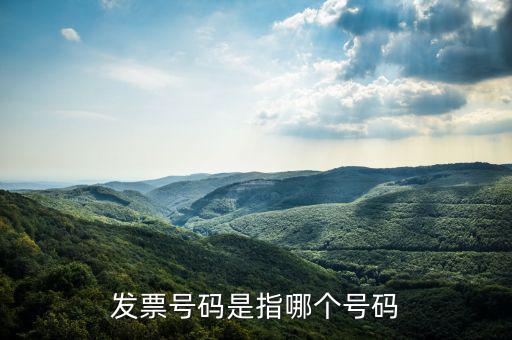 什么是發(fā)票的查詢號，發(fā)票號碼是指哪個號碼