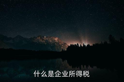 企業(yè)所得稅是什么，所得稅是什么
