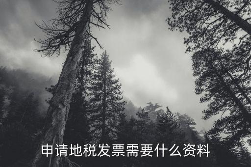去地稅領(lǐng)發(fā)票需要什么資料，申請(qǐng)地稅發(fā)票需要什么資料