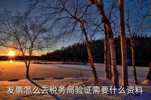 到稅務局認證發(fā)票需要帶什么，去稅務局認證發(fā)票需要帶什么資料呢