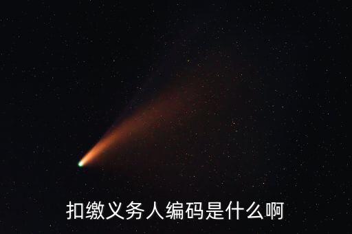江西扣繳義務人編碼是什么，扣繳義務人編碼是什么號它和納稅人識別號是一個號嗎