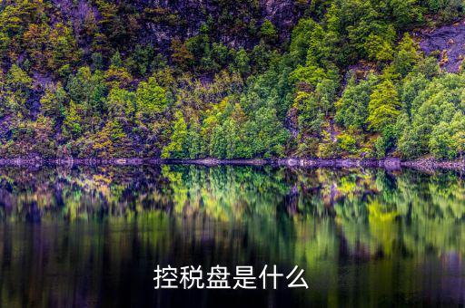 什么是金稅盤 什么是稅控盤，稅控盤的介紹