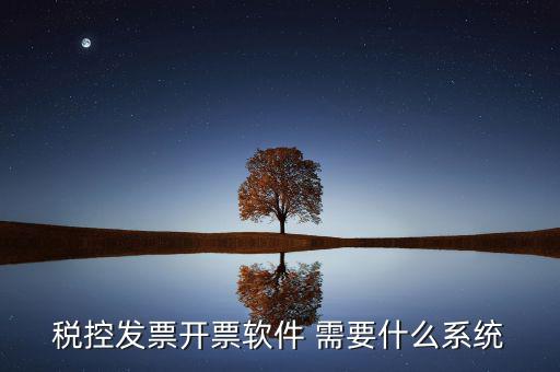 稅務(wù)開票系統(tǒng)都有什么，什么是開票系統(tǒng)小規(guī)模納稅人有裝開票系統(tǒng)嗎在線等謝謝