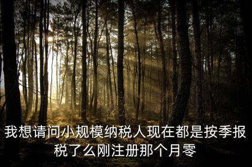 小規(guī)模什么時候零申報，增值稅小規(guī)模納稅人免稅零申報的歸屬期間