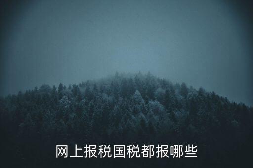 國(guó)稅云辦稅廳都報(bào)什么，你好我是新手我想問一下前輩國(guó)稅每月季年都報(bào)什么報(bào)表