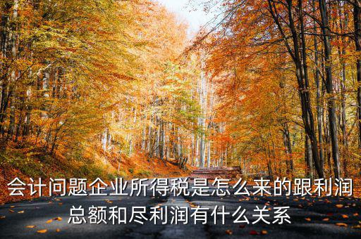 企業(yè)所得稅和什么有關(guān)，增值稅和企業(yè)所得稅有關(guān)系么