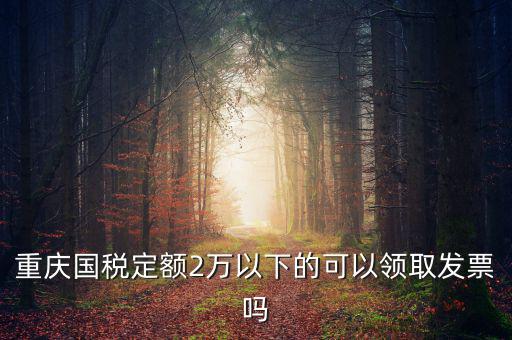 重慶用的什么定額發(fā)票，重慶國稅定額2萬以下的可以領(lǐng)取發(fā)票嗎