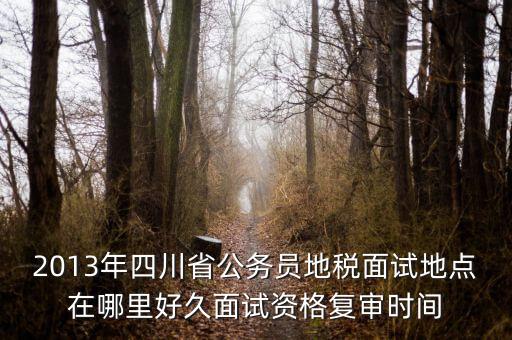 2016年四川地稅資格復(fù)審什么時(shí)候，大概什么時(shí)候資格復(fù)審啊