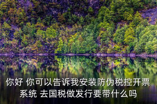 稅控發(fā)行是要做什么，稅控盤發(fā)行都呆哪些東西去稅務(wù)局需要法人去嗎