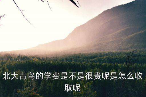 國稅局安靜工程是什么，北大青鳥的學費是不是很貴呢是怎么收取呢