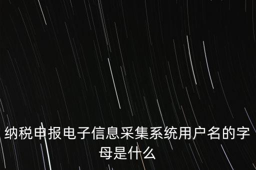 江蘇國稅電子稅務(wù)局登錄用戶名是什么意思，江蘇國稅網(wǎng)上辦稅服務(wù)廳的用戶名是什么