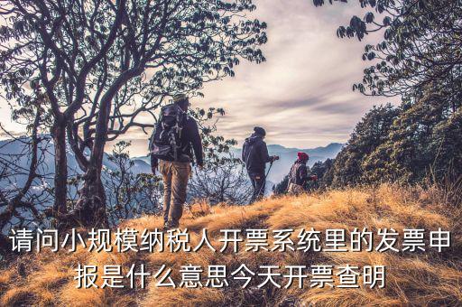 納稅人申報(bào)是什么意思，申報(bào)納稅是什么意思為什么取得營業(yè)執(zhí)造后30天就申報(bào)還沒有銷售