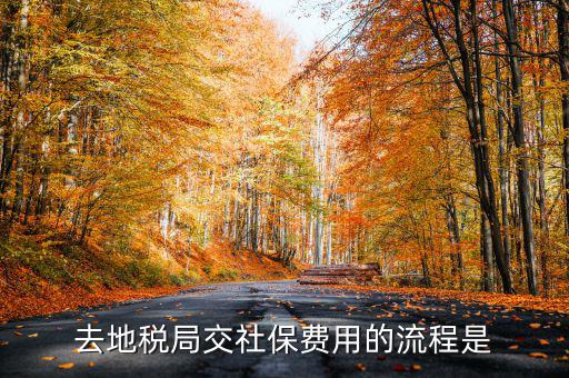 地稅局交社保需要什么手續(xù)費(fèi)，去地稅局交社保費(fèi)用的流程是