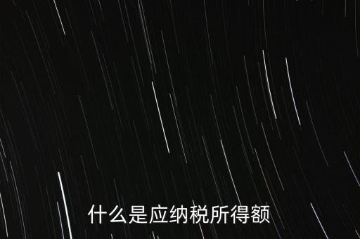 什么是年應納稅所得額，什么是應納稅所得額