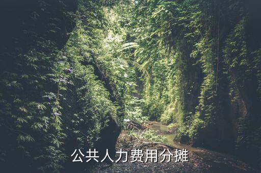 機(jī)關(guān)費(fèi)用按時(shí)什么分?jǐn)?，公共人力費(fèi)用分?jǐn)?/></a></span><span id=
