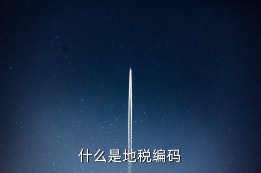 稅收編號是什么意思，稅務登記證上的企業(yè)編碼是什么意思不是就是稅務號