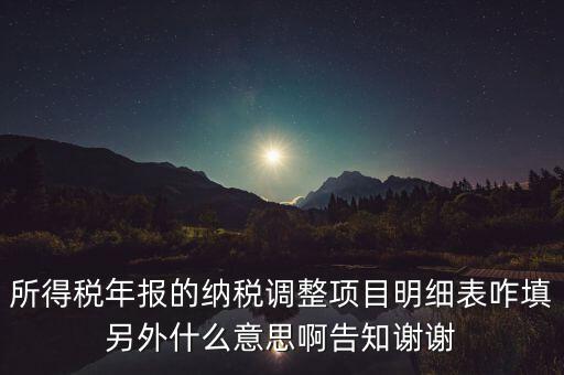 納稅調(diào)整項(xiàng)目明細(xì)表是什么意思，稅后調(diào)整是什么意思