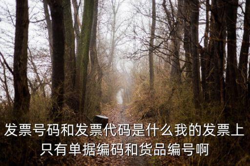 發(fā)票結(jié)存號碼是什么，發(fā)票號碼是指哪個號碼