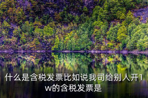 什么行業(yè)一般人發(fā)票含稅，什么類納稅人可以開(kāi)增值稅專用發(fā)票