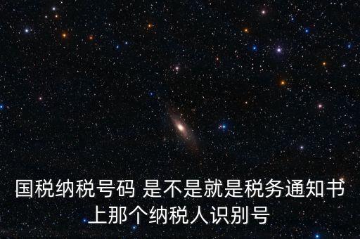 國稅稅務(wù)號是什么意思，國稅納稅號碼 是不是就是稅務(wù)通知書上那個納稅人識別號