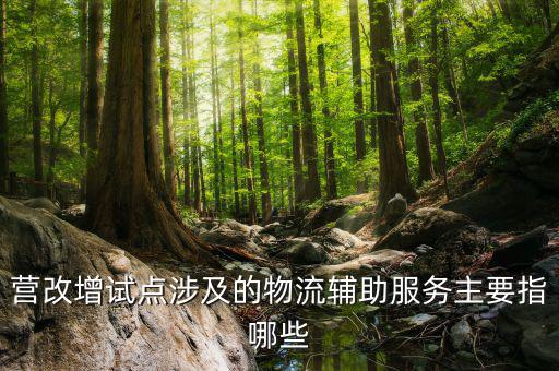 物流輔助服務(wù)屬于什么服務(wù)，貨物配服務(wù)屬于哪個(gè)行業(yè)