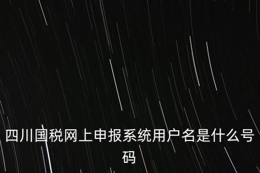 四川省地方稅務(wù)局登錄賬號(hào)是什么，在網(wǎng)上報(bào)稅登陸時(shí)用戶名是什么