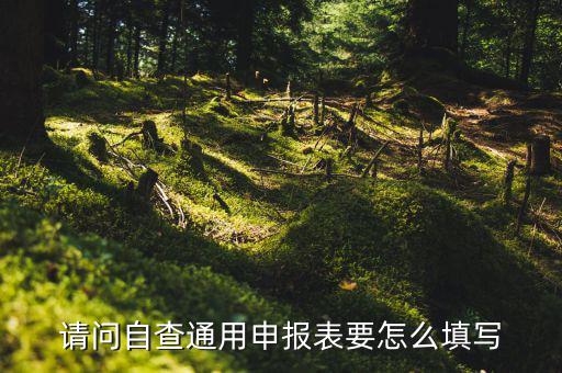 通用申報(bào)表要填什么，請(qǐng)問(wèn)自查通用申報(bào)表要怎么填寫(xiě)