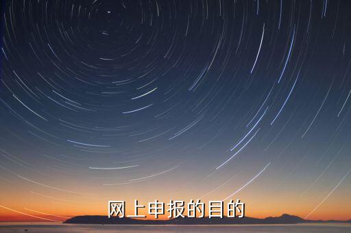 電子化辦稅什么意思，網(wǎng)上申報(bào)的目的