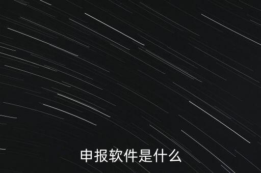 增值稅申報用什么軟件，申報軟件是什么