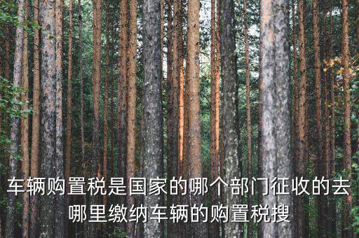 車購稅局屬于什么，車輛購置稅是國家的哪個部門征收的去哪里繳納車輛的購置稅搜