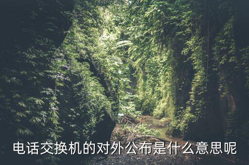 對(duì)外公開(kāi)電話(huà)有什么，福建省廈門(mén)市湖里區(qū)人民法院對(duì)外公開(kāi)號(hào)碼都有哪些