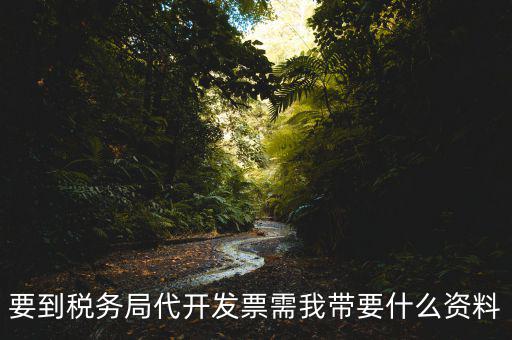 去稅務(wù)局開票需要帶什么資料，去稅務(wù)局開票的話需要帶什么材料呢