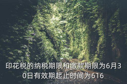 繳款期限什么意思，滯納金是什么意思