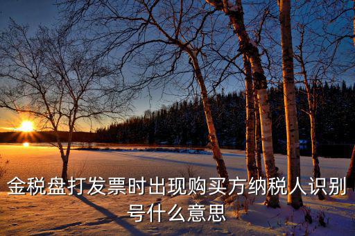 發(fā)票的付款方識別號是什么意思，開票方識別號是什么意思