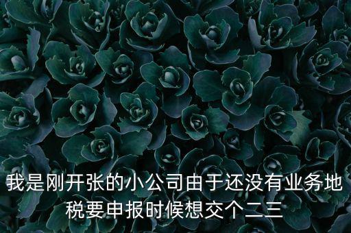 業(yè)務(wù)地稅是什么意思，利潤(rùn)表里主營(yíng)業(yè)務(wù)稅金及附加是國稅還是地稅征收呢親們幫忙解釋