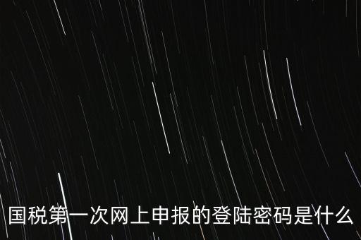 國稅的登錄密碼是什么，國稅第一次網(wǎng)上申報的登陸密碼是什么
