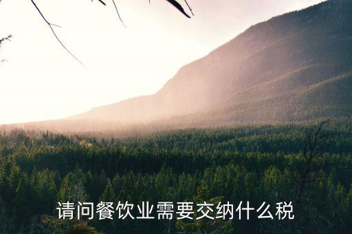 餐飲業(yè) 公司 交什么稅，餐飲企業(yè)繳納哪些稅