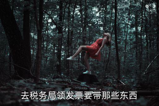 國(guó)稅領(lǐng)取發(fā)票需要帶什么，去國(guó)稅局領(lǐng)發(fā)票要帶什么