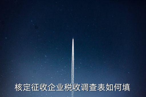 什么企業(yè)填稅收調(diào)查表，核定征收企業(yè)稅收調(diào)查表如何填