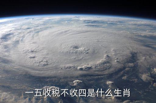什么生肖要打稅，稅意新榮打一生肖