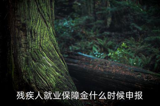 殘疾人保障金什么時候，殘疾人就業(yè)保障金怎么交什么時侯交會計分錄
