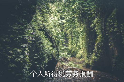 個稅什么情況勞務(wù)報酬，有關(guān)個稅勞務(wù)報酬