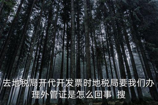 為什么要開電子外管證，像您咨詢一下關(guān)于外管證的事宜我前一陣開了外管證您說是避免