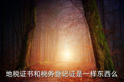 地稅登記證是什么，地方稅納稅資料封面上稅務(wù)登記證號是甚么