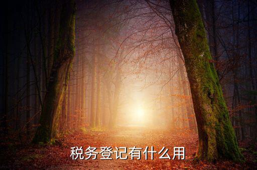 有稅務(wù)登記有什么好，稅務(wù)登記有什么用