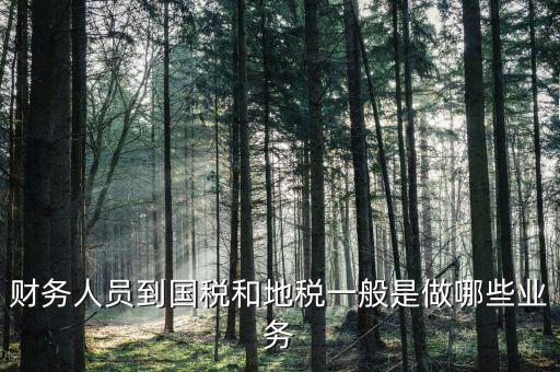 國稅地稅有什么工作，地稅工作人員有哪些職務