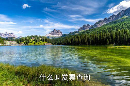 發(fā)票查驗單是什么意思，簡述什么是發(fā)票檢查