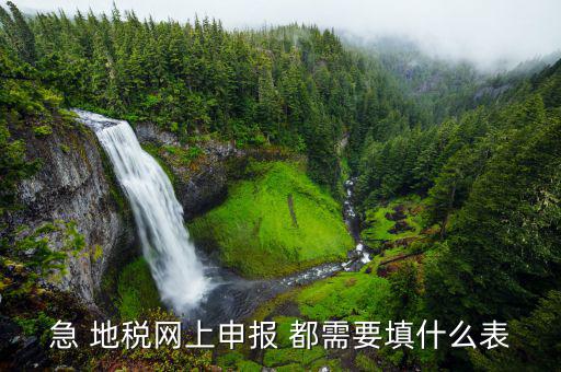 稅務(wù)申報(bào)表用什么填置，怎么填寫稅務(wù)申請(qǐng)表